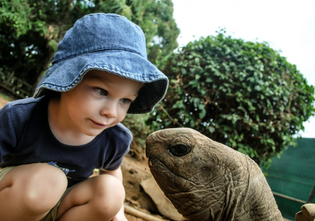 Ways to Ensure Your Child Continues to Learn During the Summer